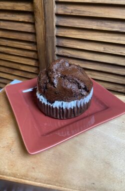 Chocolate Muffin