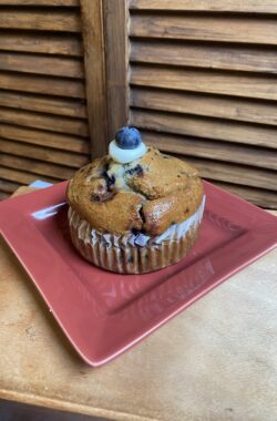 Blueberry Muffin